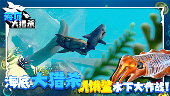 《上古卷轴5》游戏数值解析：经验值公式与角色成长策略