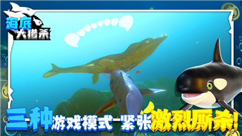 《无敌水豚》游戏攻略：第二章第一关通关攻略与心得分享